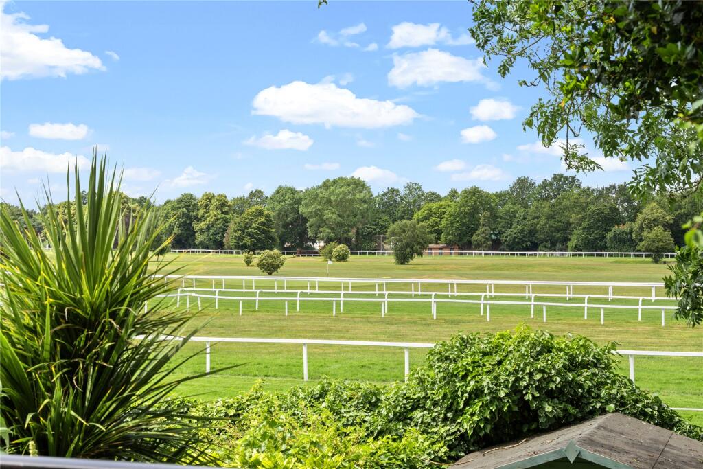 House in Kingston upon Thames - More