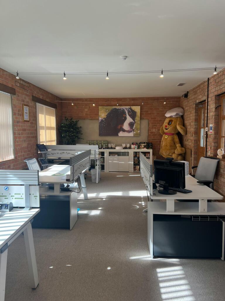 Office 8 Portrait.jpg