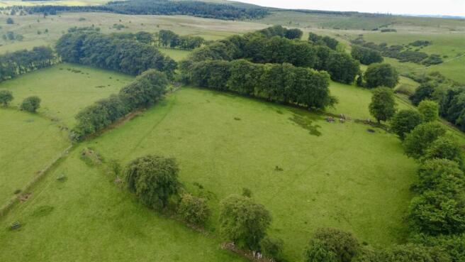dji_fly_20260602_153232_956_1780410773225_photo_op