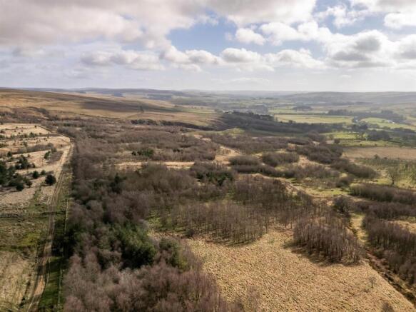 DJI_20260317104203_0227_D (1).jpg