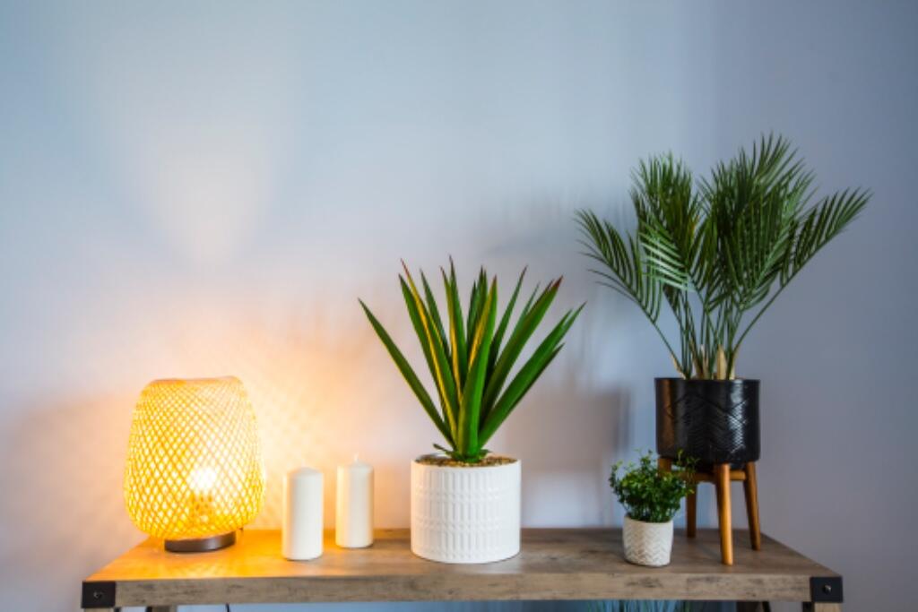 Additional image 2 of Whalley Old Road,
Blackburn,
BB1 4AA 