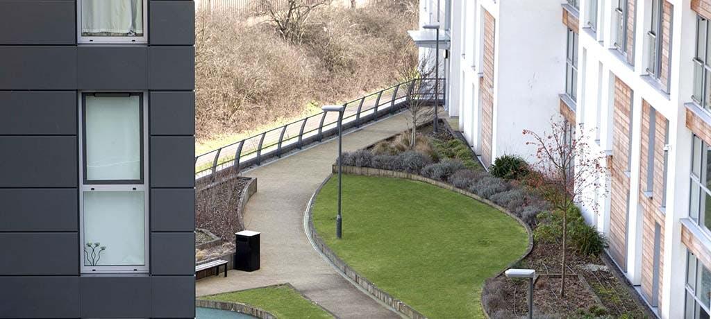 HPV Play Hayes pic6.jpg