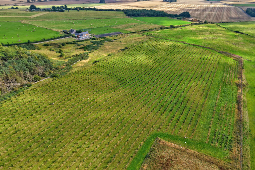 Land & Building at Greystone, Oldmeldrum photo 3