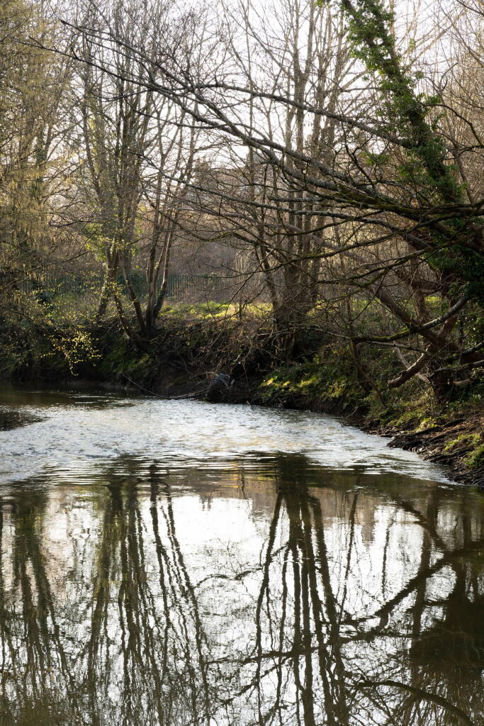 Additional image 23 of Willow Vale, Frome, BA11 1FE