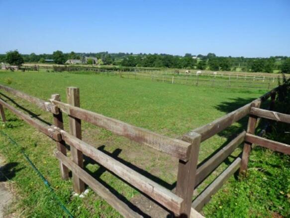 SHARED PADDOCK