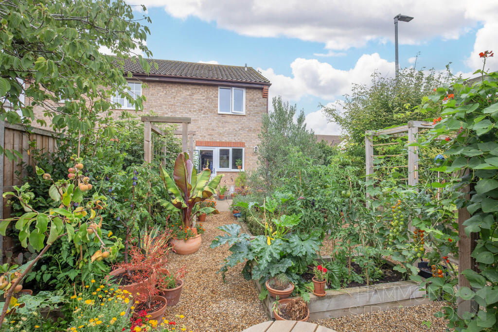 Keeling Way, Attleborough photo 4