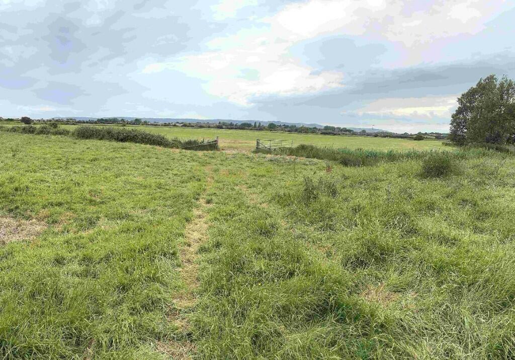 Farm land for sale in Peelings Marsh, Near Eastbourne BN24 - View 2