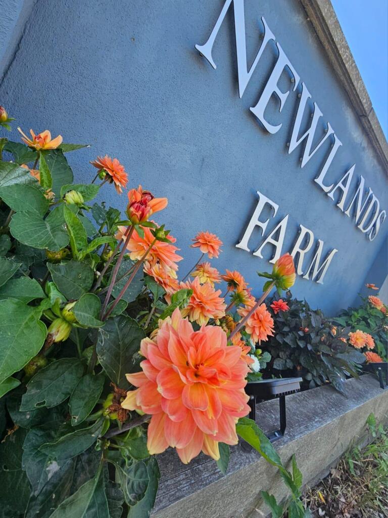 Newlands Farm