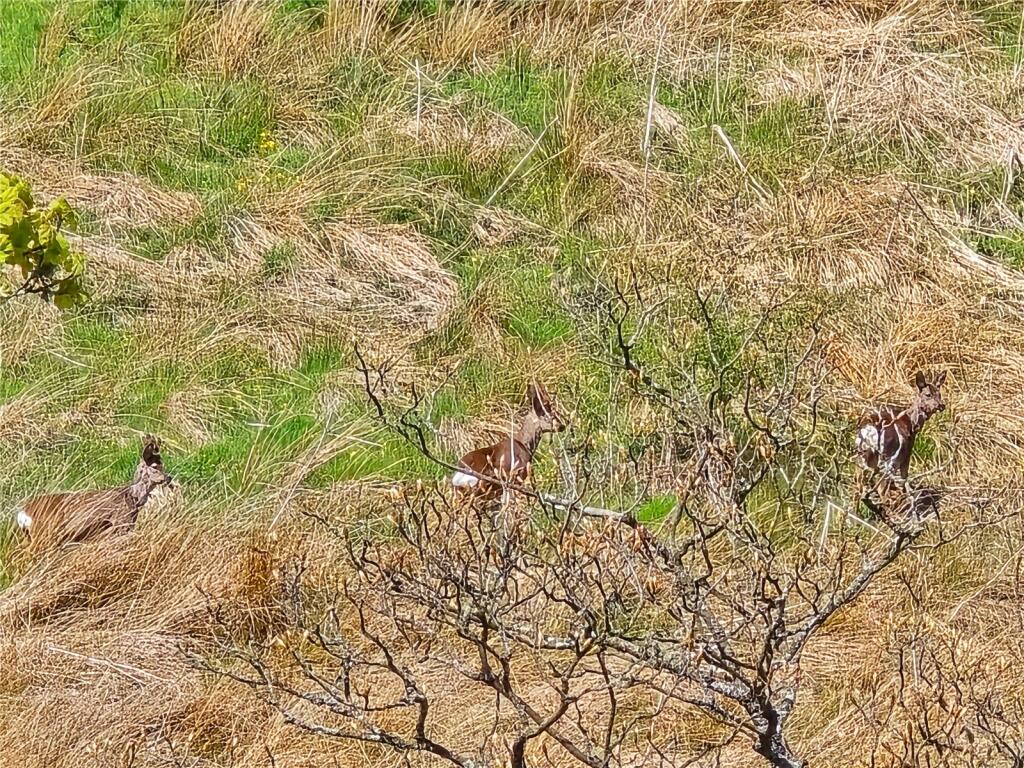 Additional image 25 of Loveclough Road, Loveclough, Rossendale, BB4