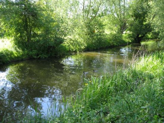 Photo of the property