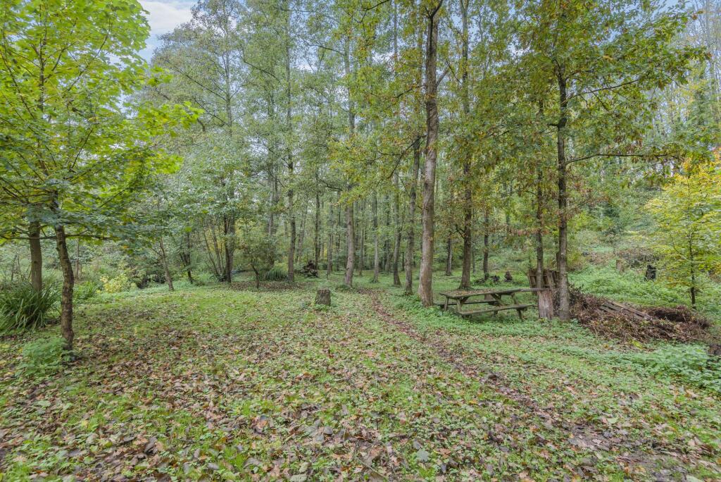 Cone Valley, Woolaston, GL15 photo 2