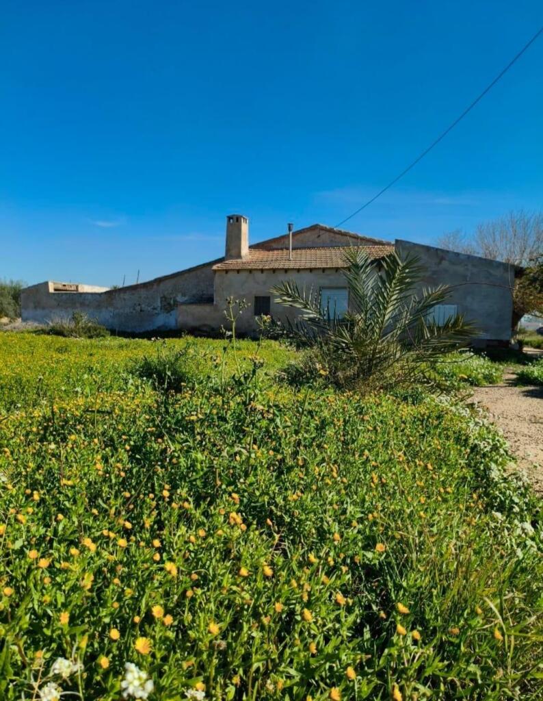 Main image of property: Valencia, Alicante