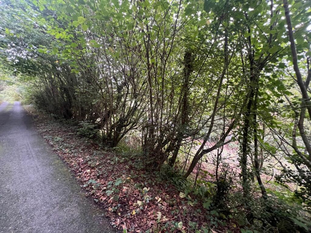 Abercych, Boncath, SA37 - View 5