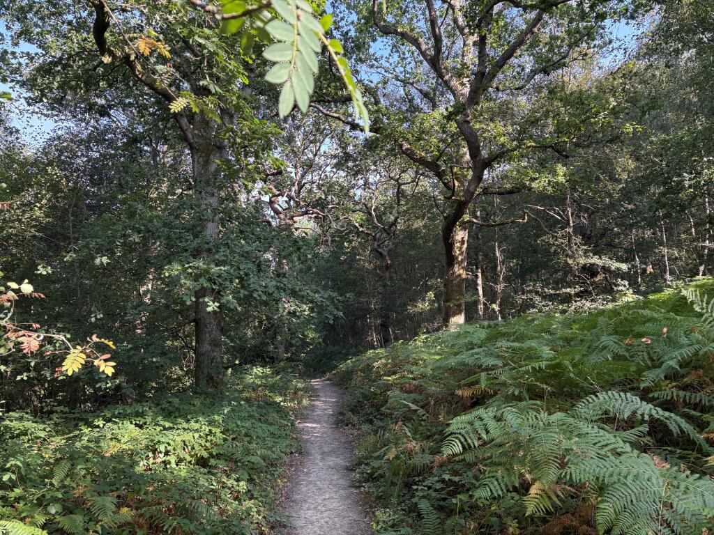 Main image of property: Big Millhole Wood, Cowfold Bridge Lane, Rotherfield, East Sussex