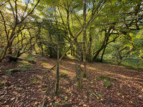 Sunlit Woodland Archway.png