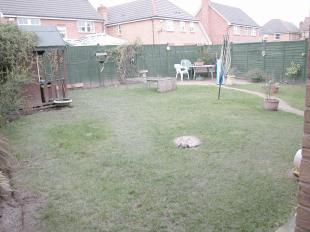 Photo of the property