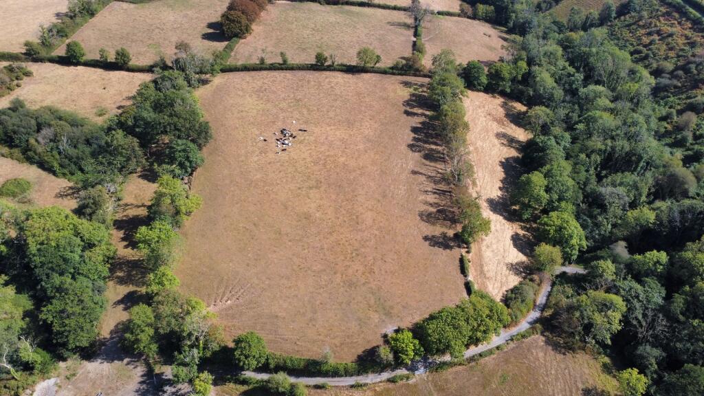 Henllan Amgoed, Whitland, SA34 - View 5