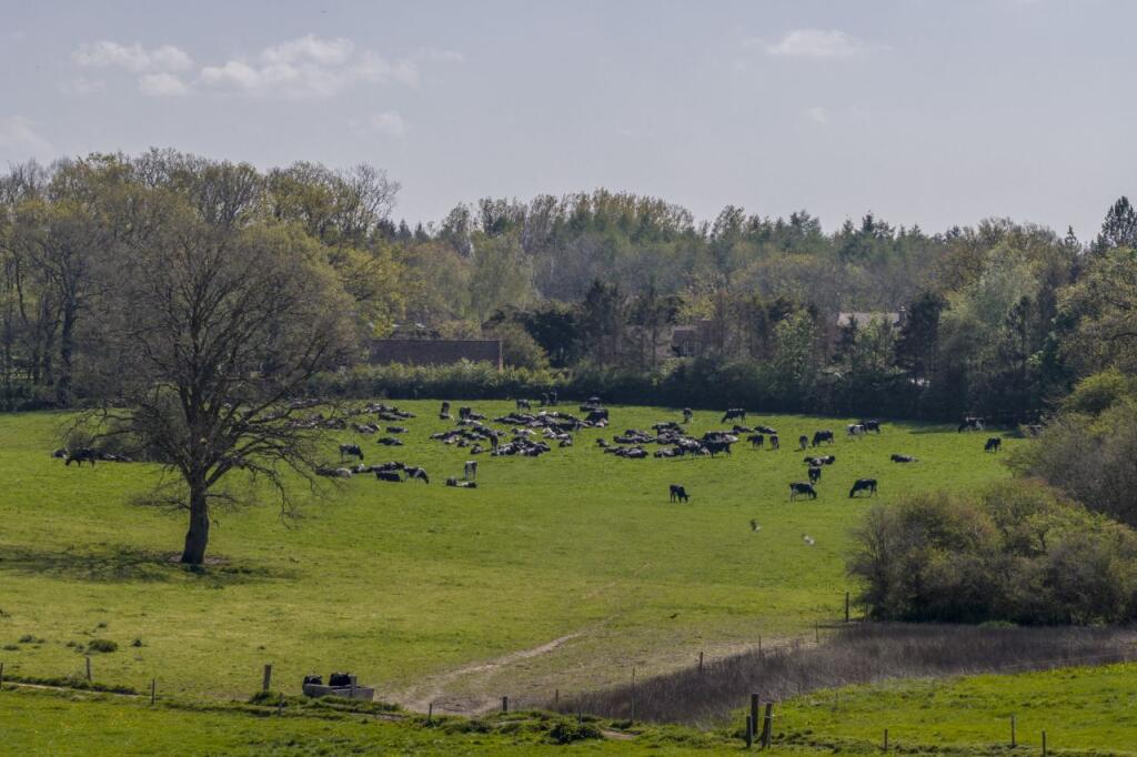Land Opposite Barrs Farm
