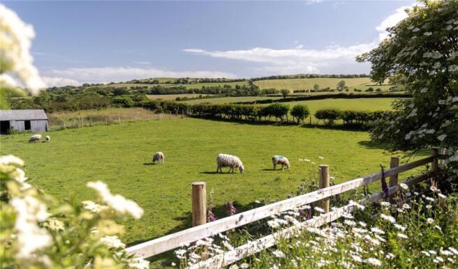 Paddocks