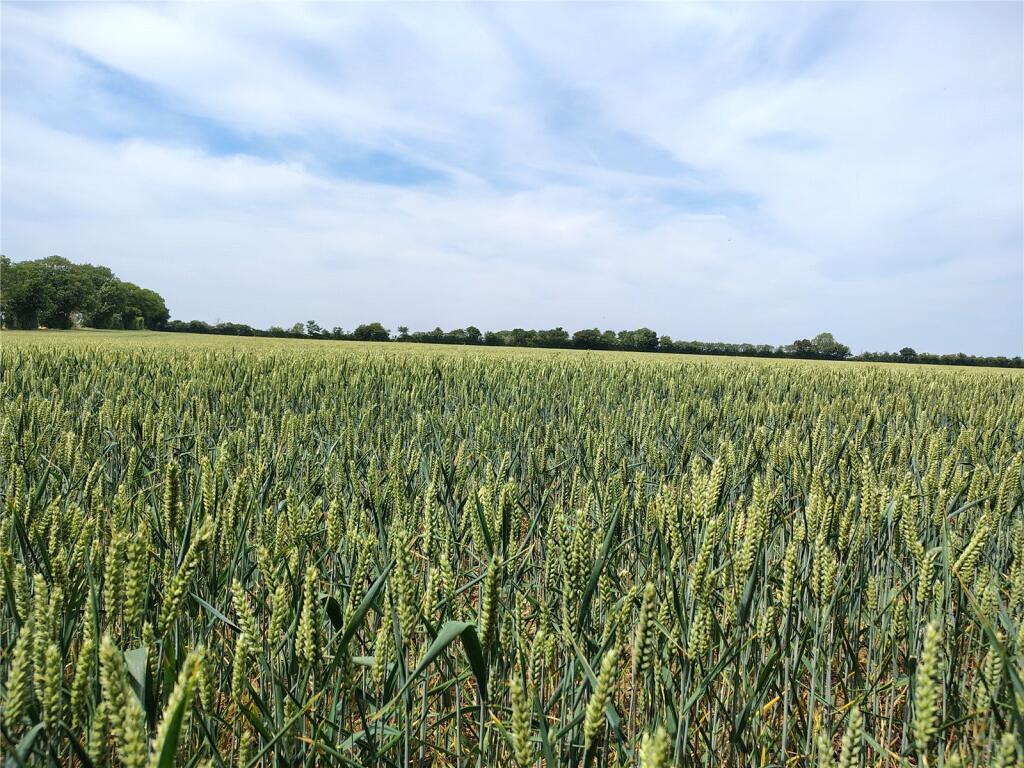 Main image of property: Mickfield, Stowmarket, Suffolk, IP14