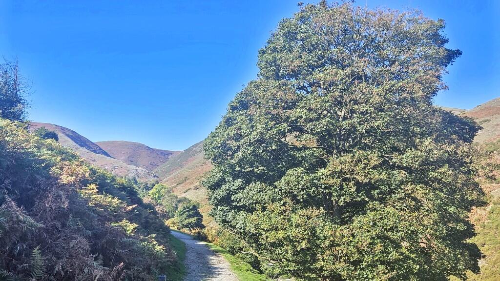 Shepherds Cottage, Burway Road, Church Stretton, Shropshire, SY6 6DP photo 2