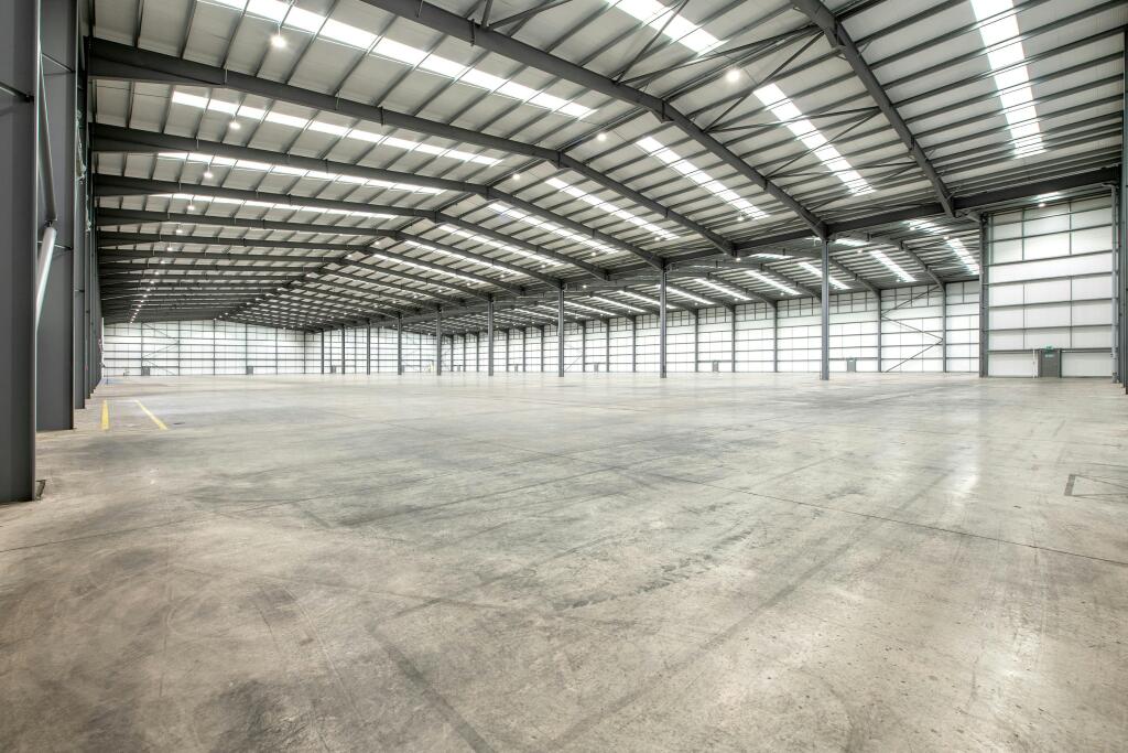 tetron 142hi10 hr.jpg