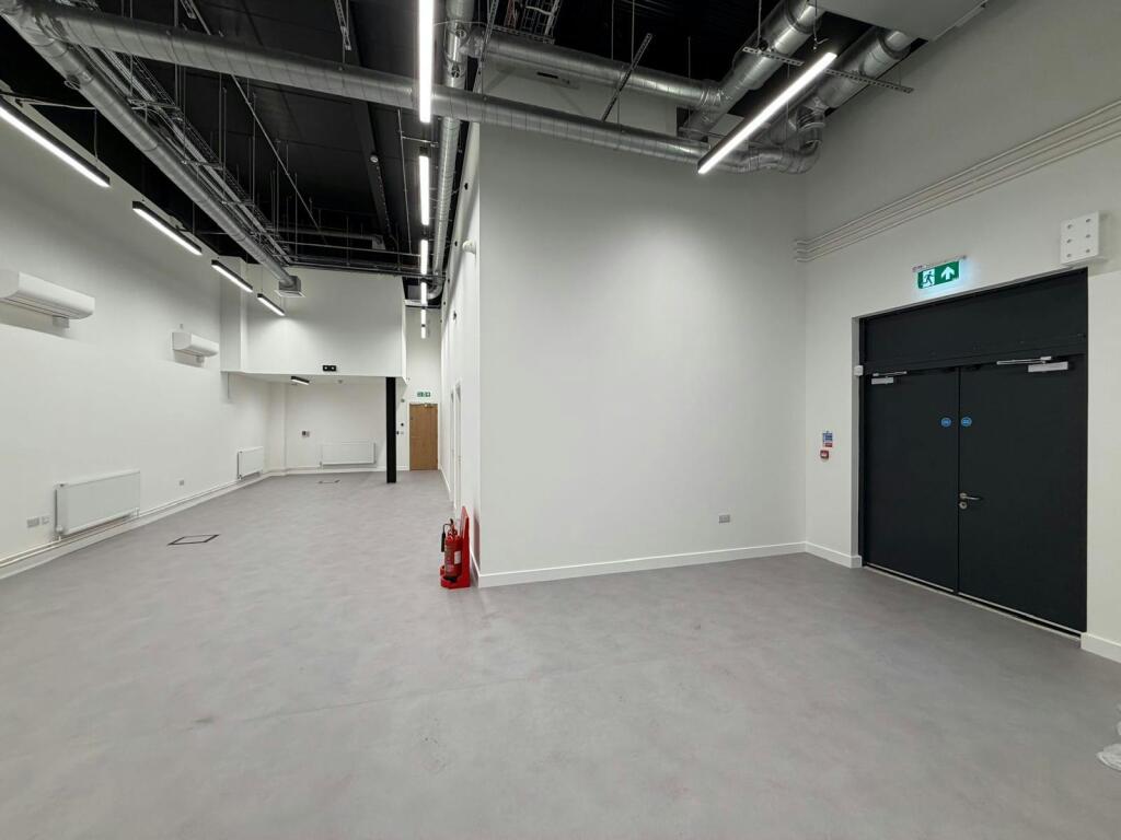 p5.jpg