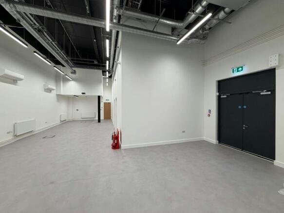 p5.jpg