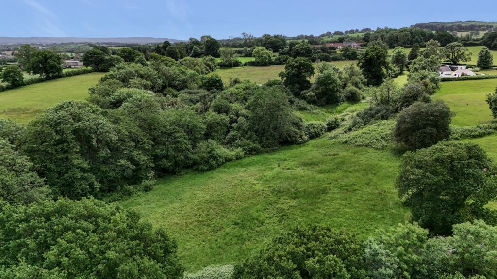 Tadhill, Leigh Upon Mendip photo 3
