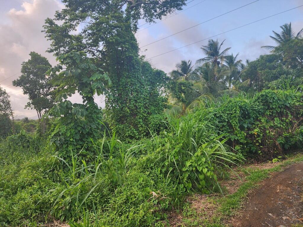 Main image of property: Vieux Fort