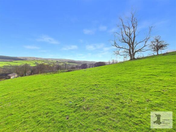 Field and views