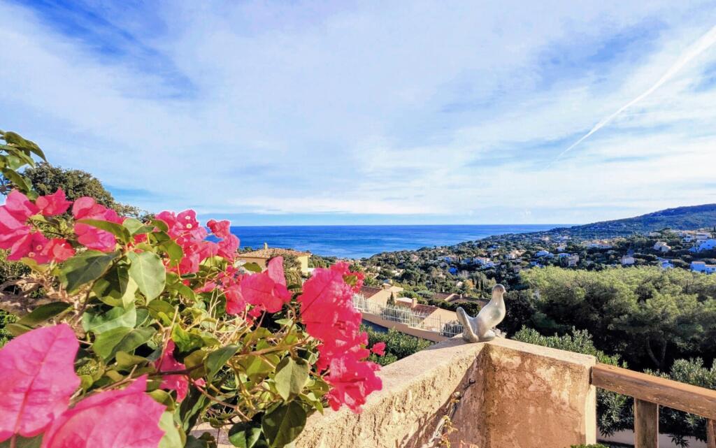 Main image of property: 83380 les-issambres
