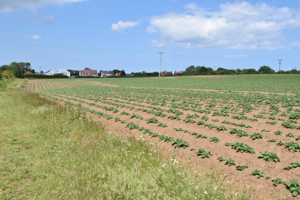 Main image of property: Hornsea Road, Skipsea, East Riding Of Yorkshire