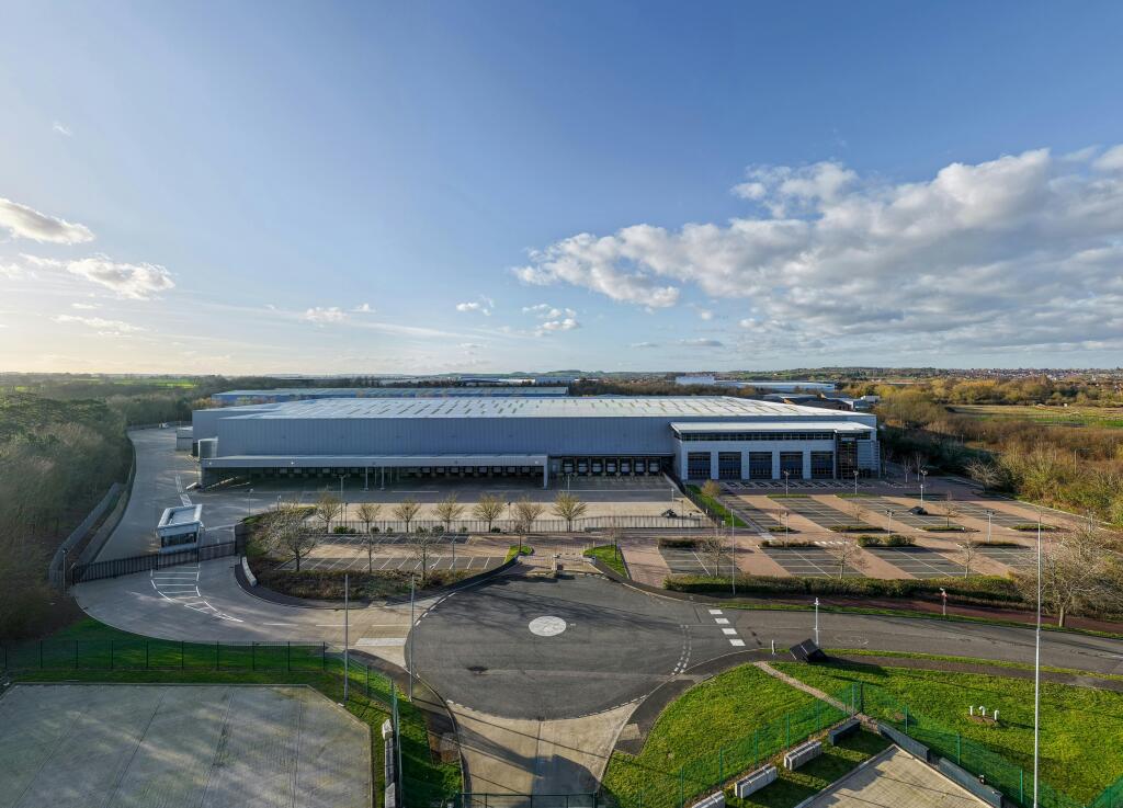 Big Swan_Image_02.jpg