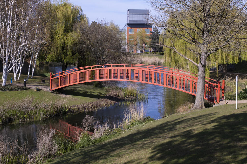 Photo 15