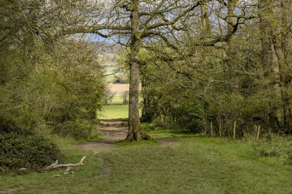 High Trees Woodland