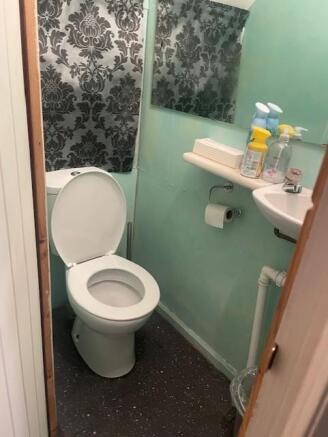 Hair toilet.jpg