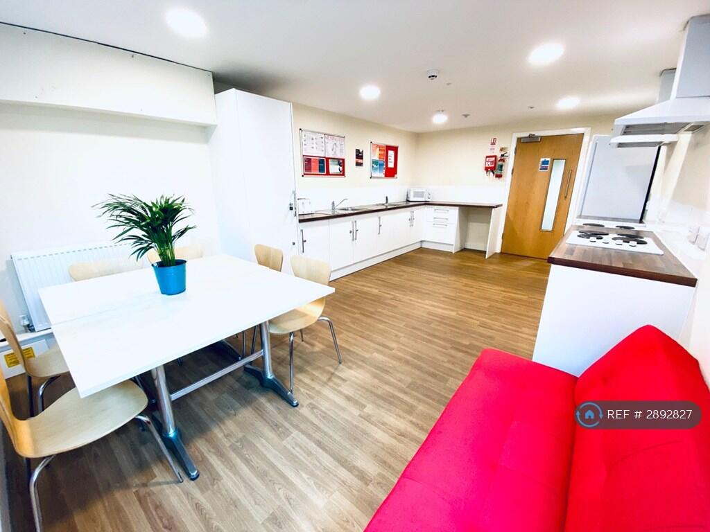 1 bedroom flat share for rent