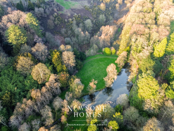 Aerial Shot 