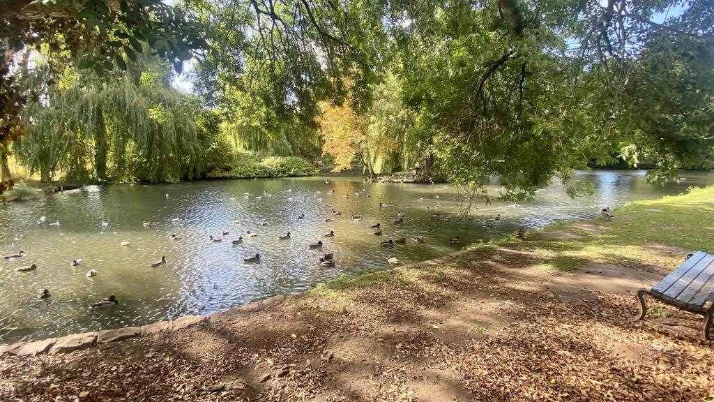 Property photo 7