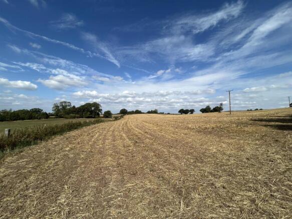 Stubble Field - 7330.JPEG