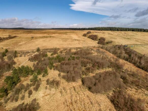 DJI_20260317103730_0202_D (1).jpg