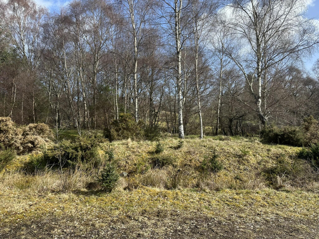 Errogie, Inverness, IV2 6UH photo 4