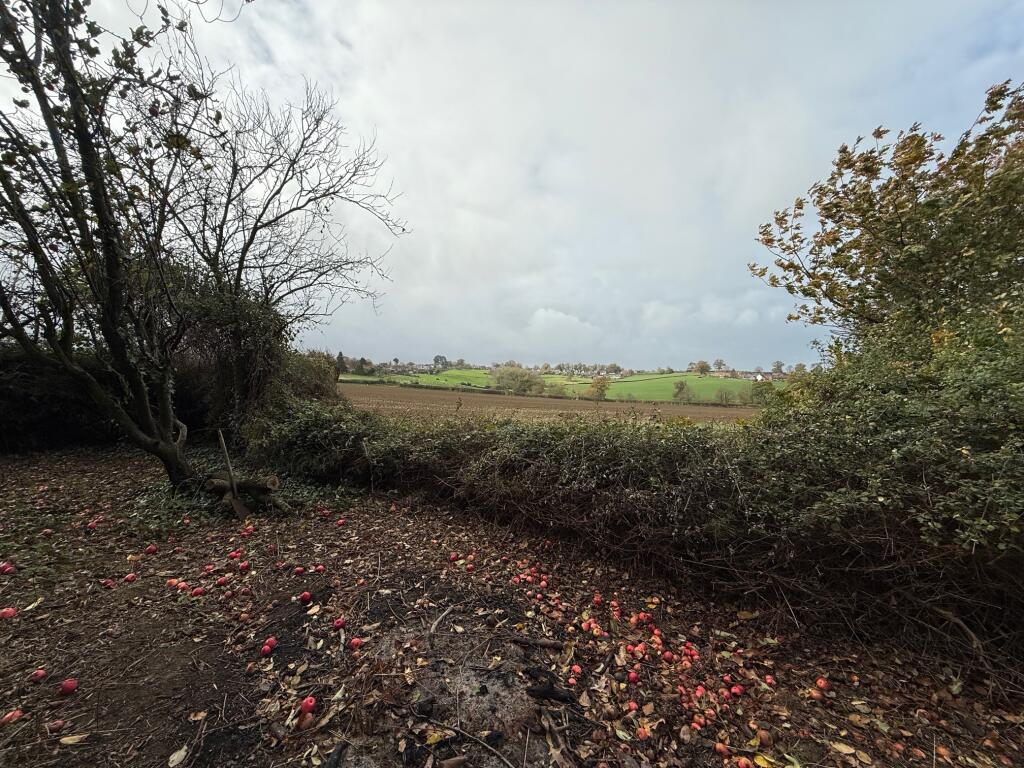 Additional image 18 of Mudford Hill, Mudford, Yeovil, Somerset, BA21 5SJ