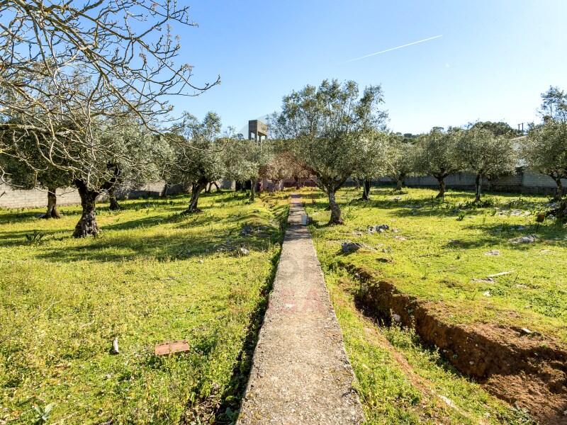 Main image of property: Ribatejo, Minde