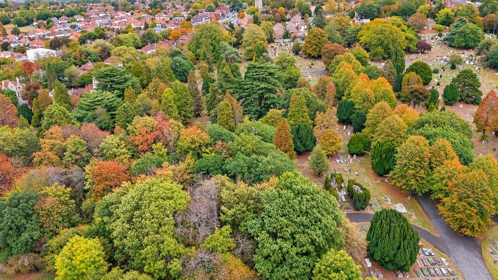 House in London, Cowley - View 3