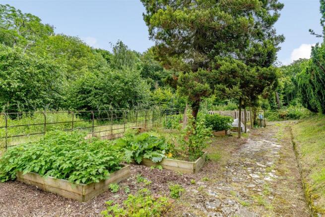 Veg Patch