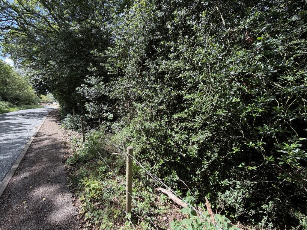 The Surveyors Pit, Gressenhall Road, Gressenhall, Dereham, Norfolk NR20 4HF - More