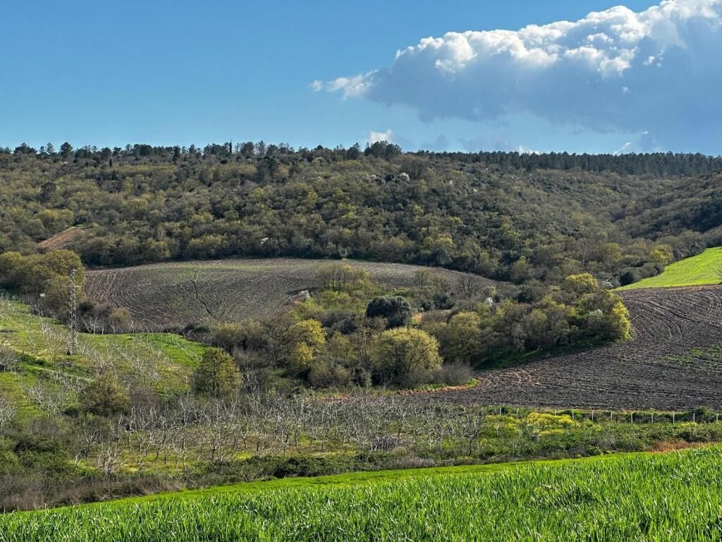 Main image of property: Balikesir, Gönen, Gönen