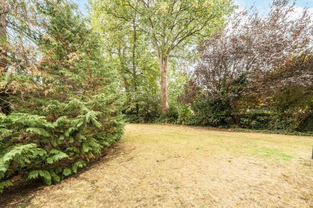 Apartment in Kingston upon Thames - More